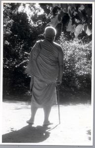 Ajarn8