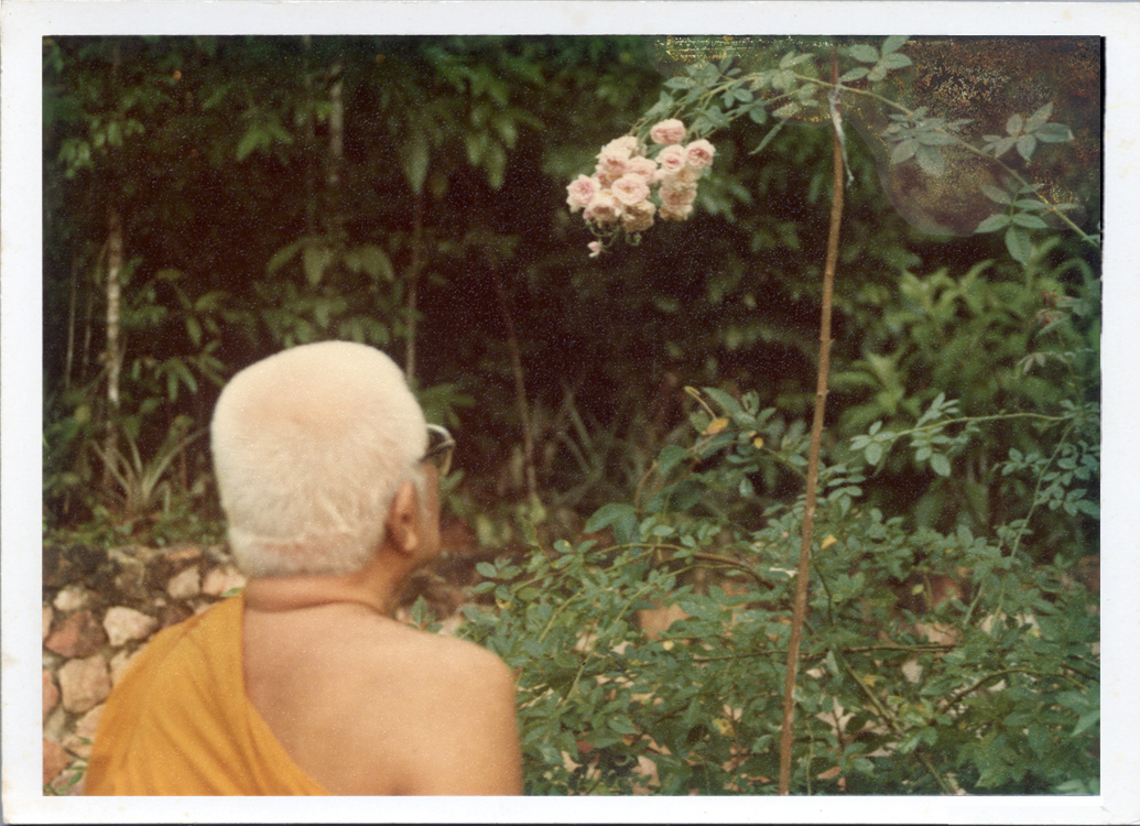 Buddhadasa indapanno archives c00704