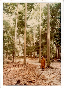 Buddhadasa indapanno archives c07661