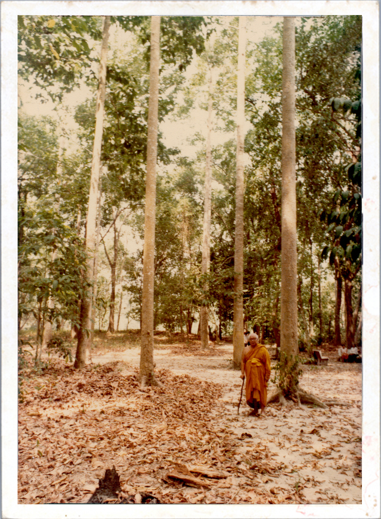 Buddhadasa indapanno archives c07661