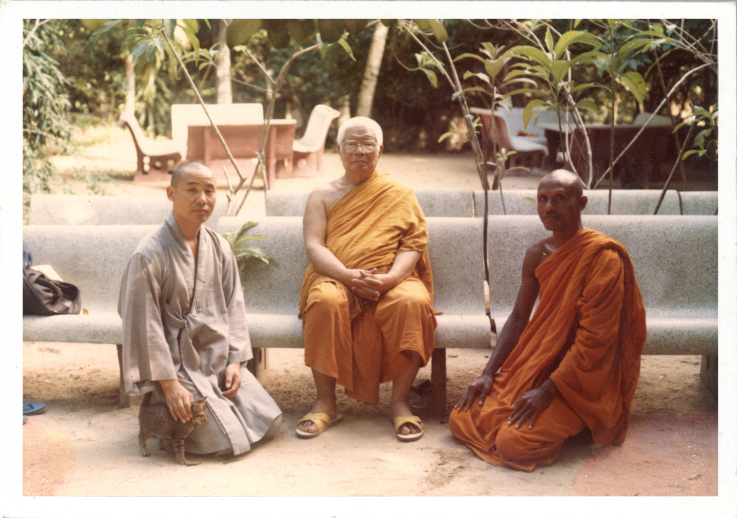 Buddhadasa indapanno archives c01229